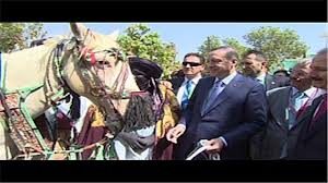 Başbakan’a Nijer'de hediye at VİDEO