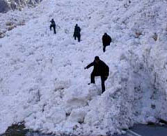 Muş'ta sağlık ekibinden haber alınamıyor
