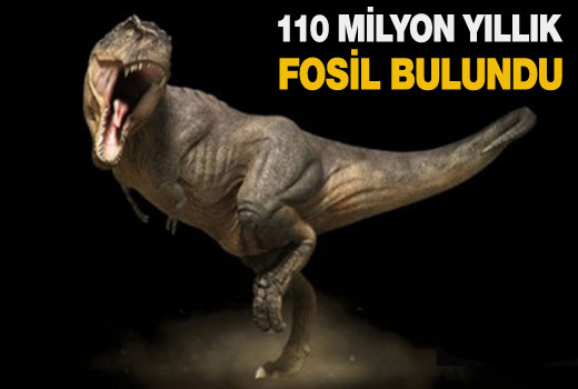 110 milyon yıllık fosil bulundu