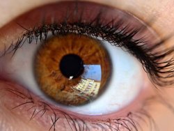 Kahverengi gözlüler güven veriyor