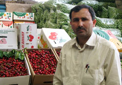 Hal esnafı: Hal daha ucuz
