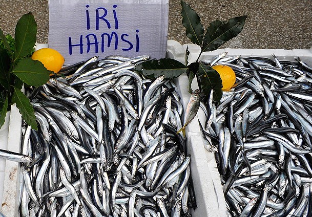 Hamsinin kulağına kar suyu kaçtı