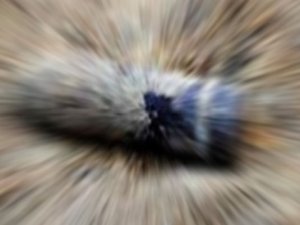 Kilis'e top mermisi düştü