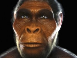 TÜBİTAK evrim kitaplarının basım ve satışını durdurdu