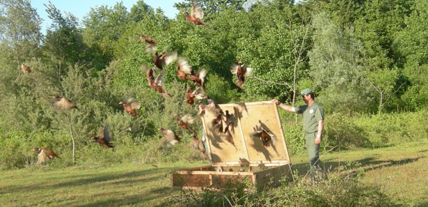 Seydişehir'de avcılık kursu sona erdi