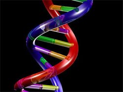 DNA'dan göz ve saç rengi tespiti