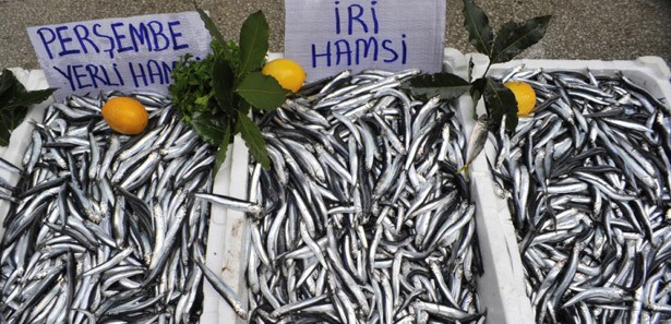 Soğuk hava balık fiyatlarını uçurdu!