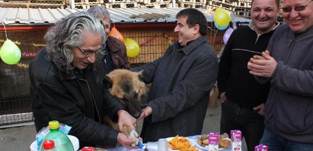 Köpeğine doğum günü partisi yaptı