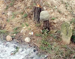 Bin yıllık mezarlığın sırrı ne?