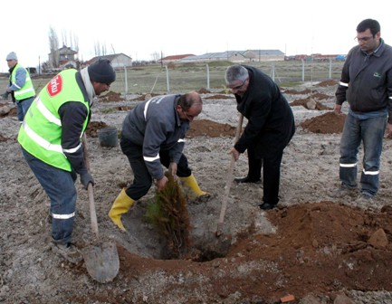 Konya Şeker ağaçlandırmada Konya nüfusunu 4’e katladı
