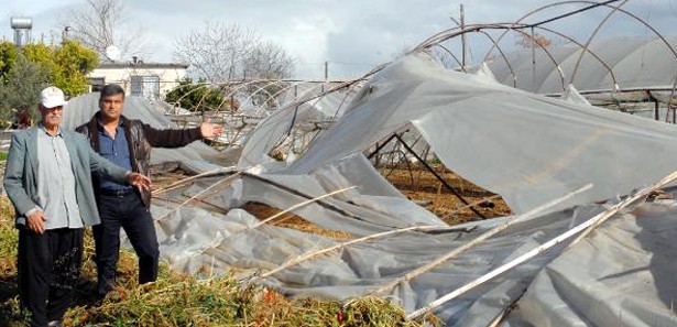 Şiddetli rüzgar seraları yerle bir etti
