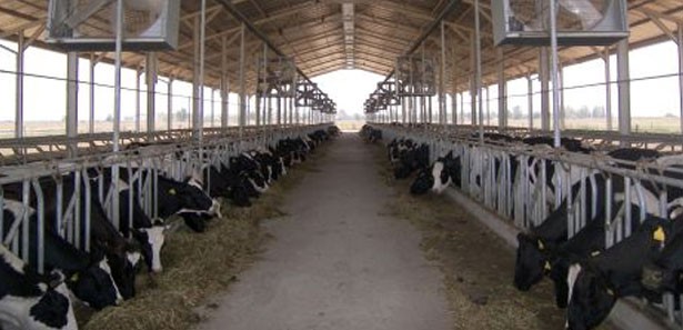 Beyşehir'de Nakillerde Hayvan Refahı Kursu