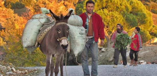 Eşeklerin de misafirhanesi olacak!