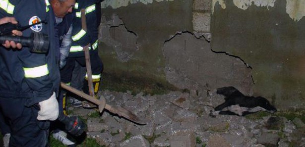 Sıkışan köpek balyozla kurtarıldı