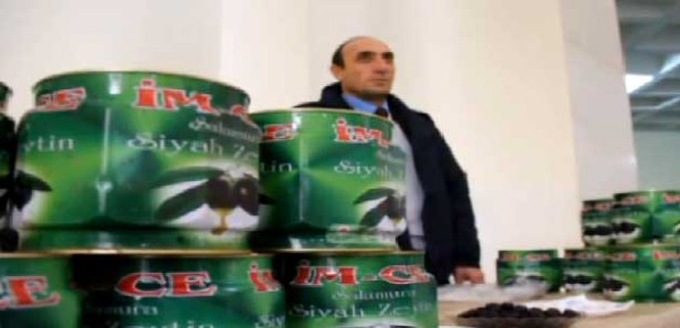 İmralı'dan 60 ton zeytin çıktı