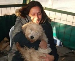 Hayvan hakları için yürüdüler