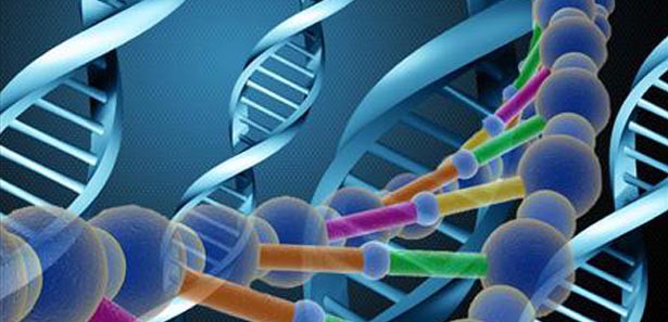 Dörtlü sarmal' DNA kanserde yeni umut