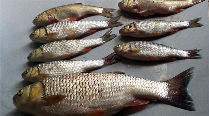 Rahatlatan açıklama