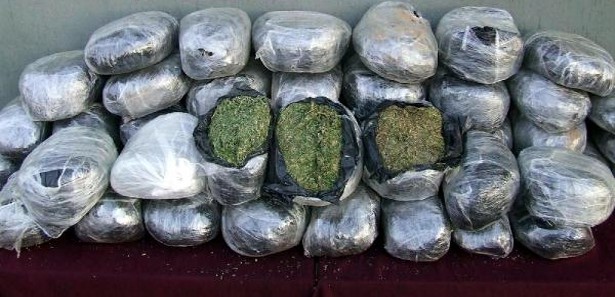 Kandahar'da 2,5 ton esrar imha edildi