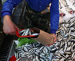 'Türkiye balıkları güvenilir'