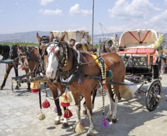 YYÜ'de faytonlu ulaşım devri