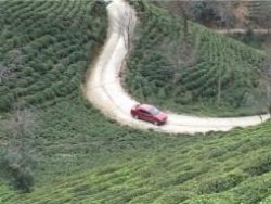 Guinness aşkı arabayı ters sürdürür