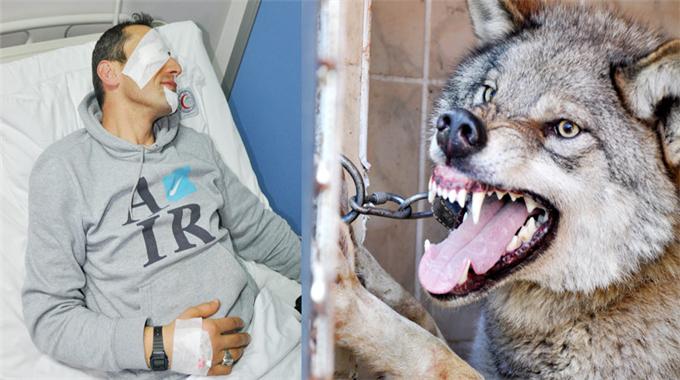 Besle kurdu oysun gözünü