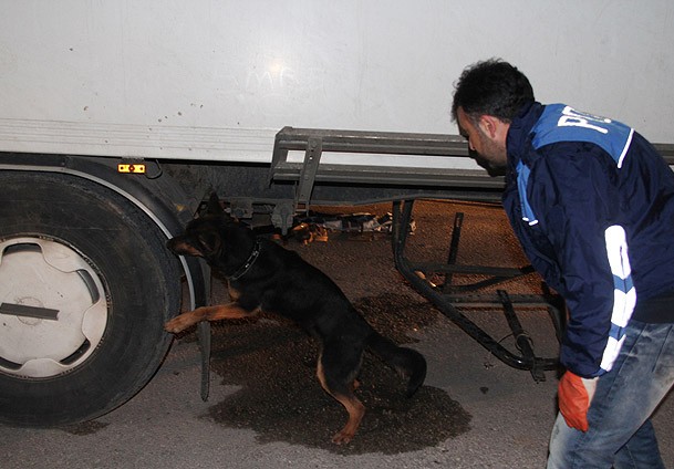 ''Pul biber'' de ''Para'' etmedi