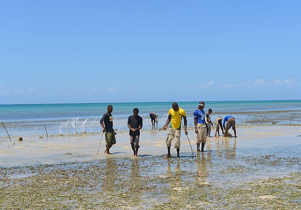 Suya girmeden avlanıyorlar
