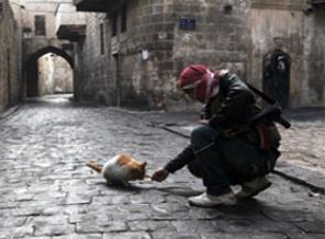 Afganistan'da çatışmalar sürüyor