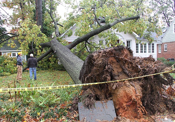 Sandy mağdurlarına 50,5 milyar dolar
