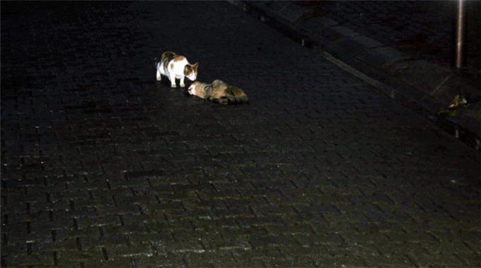 Vefa böyle bir şey...