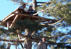 Ağaç tepesinde çardak keyfi