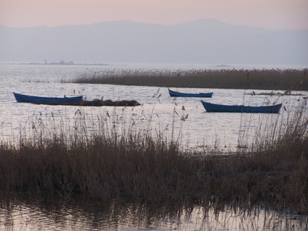 Göl ve sazlıklar tehlikede!