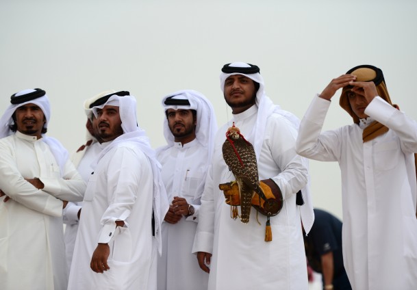 Bu festivalde şahinler yarışıyor