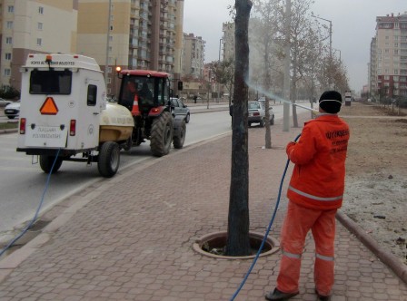 Ağaçlara kışlık yağ uygulaması yapılıyor