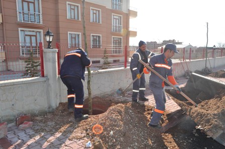 Karatay ağaçlandırılıyor