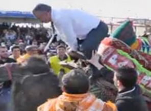 AK Partili başkan deveden düştü