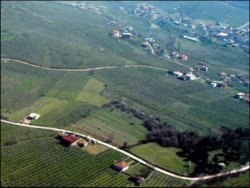 Gül'den 2-B arazilerinin satış düzenlemesine onay