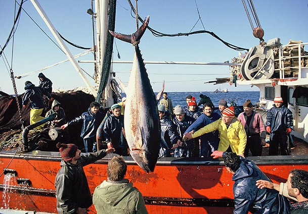 Türkiye'de balıkçılığın tarihini anlattı