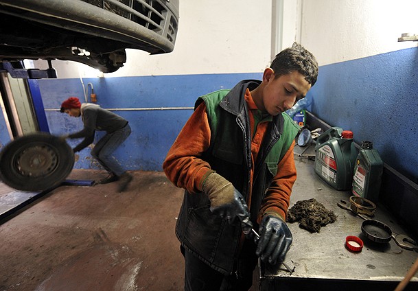 Çıraklar çekirdekten yetişiyor