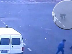 1 yılda biriktirdiği paralar yola saçıldı