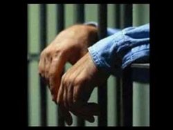 Ergenekon'un dolandırıcıları