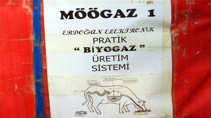 Hayvan gübresinden ‘Möögaz’ üretti