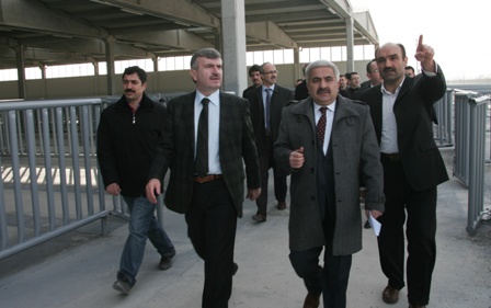Konya'ya modern hayvan pazarı