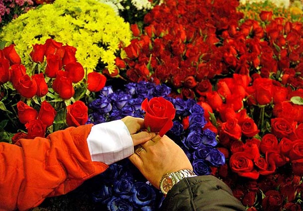 Çiçekçiler 14 Şubat'a hazırlanıyor