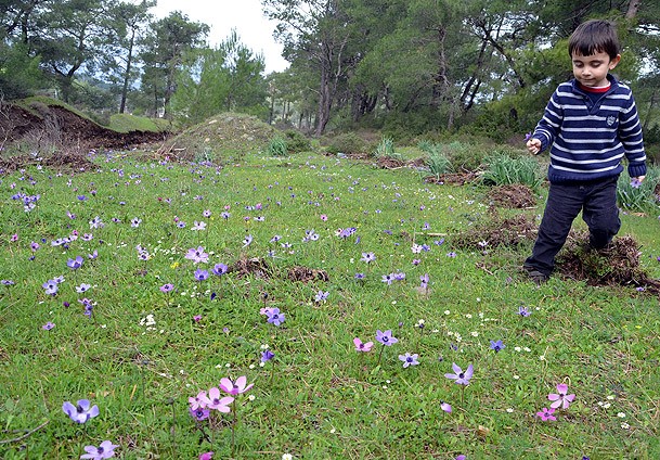 Güney Ege'de erken bahar