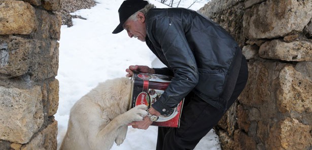 Yiyecek arayan köpeğin kafası tenekeye sıkıştı