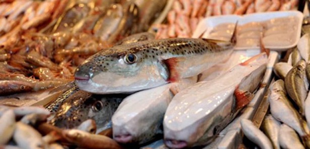 Balıkta bolluk ve ucuzluk dönemi bitti