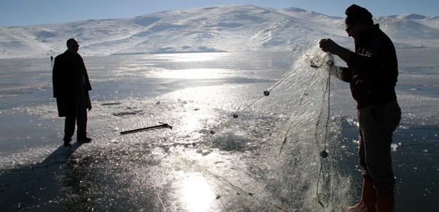 KTÜ balık hastalıklarına karşı aşı geliştirdi